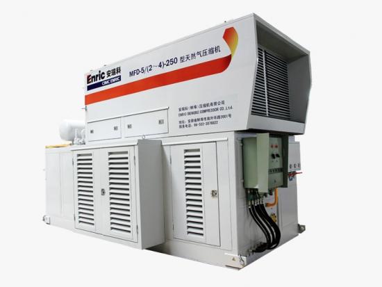 Compressed Natural Gas Standard Station Compressor